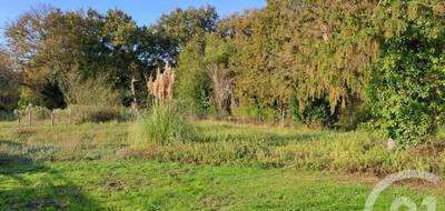 Terrain seul à Saint-Vivien-de-Médoc en Gironde (33) de 2934 m² à vendre au prix de 90000€ - 4