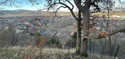 Terrain seul à Wintzenheim en Haut-Rhin (68) de 1600 m² à vendre au prix de 165000€ - 2