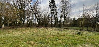 Terrain seul à Villers-sur-Coudun en Oise (60) de 770 m² à vendre au prix de 80000€ - 3