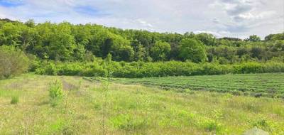 Terrain seul à Saint-Montan en Ardèche (07) de 1900 m² à vendre au prix de 74500€ - 4