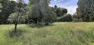 Terrain seul à Genlis en Côte-d'Or (21) de 2439 m² à vendre au prix de 195000€ - 2