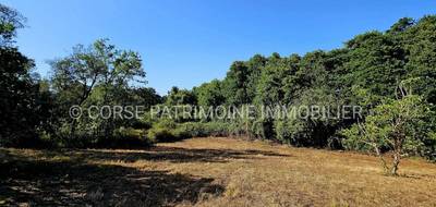 Terrain seul à Ghisonaccia en Haute-Corse (2B) de 1697 m² à vendre au prix de 145000€ - 3