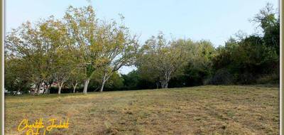 Terrain seul à Chalais en Charente (16) de 5090 m² à vendre au prix de 44000€ - 2