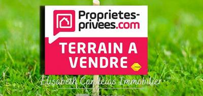 Terrain seul à Portet-sur-Garonne en Haute-Garonne (31) de 1000 m² à vendre au prix de 292580€ - 1