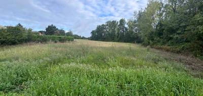 Terrain seul à Estillac en Lot-et-Garonne (47) de 1500 m² à vendre au prix de 62000€ - 3