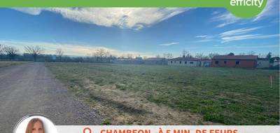 Terrain seul à Chambéon en Loire (42) de 1233 m² à vendre au prix de 110970€ - 4