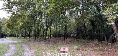 Terrain seul à Sanguinet en Landes (40) de 1677 m² à vendre au prix de 49990€ - 3