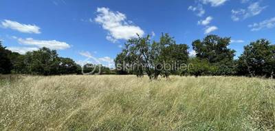 Terrain seul à Coufouleux en Tarn (81) de 2300 m² à vendre au prix de 155000€ - 2