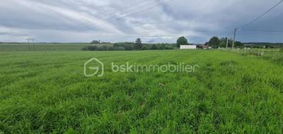 Terrain seul à Saint-Germain-des-Prés en Loiret (45) de 1335 m² à vendre au prix de 35000€ - 4