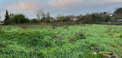 Terrain seul à Mouzeuil-Saint-Martin en Vendée (85) de 1700 m² à vendre au prix de 61200€ - 2