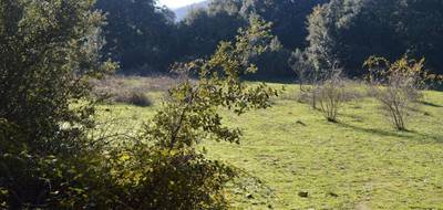 Terrain seul à Corte en Haute-Corse (2B) de 4360 m² à vendre au prix de 340700€ - 2