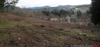 Terrain seul à Saint-Dié-des-Vosges en Vosges (88) de 10078 m² à vendre au prix de 99000€ - 3