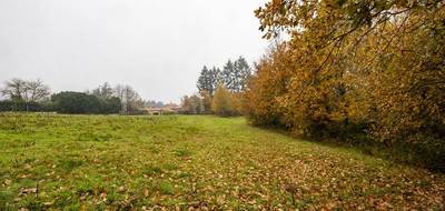 Terrain seul à Mazeyrolles en Dordogne (24) de 4500 m² à vendre au prix de 39000€ - 3