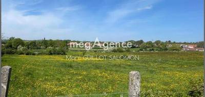 Terrain seul à Rety en Pas-de-Calais (62) de 600 m² à vendre au prix de 55000€ - 1