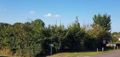 Terrain seul à La Cour-Marigny en Loiret (45) de 1313 m² à vendre au prix de 24000€ - 3