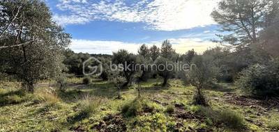 Terrain seul à Solliès-Ville en Var (83) de 3900 m² à vendre au prix de 313500€ - 4