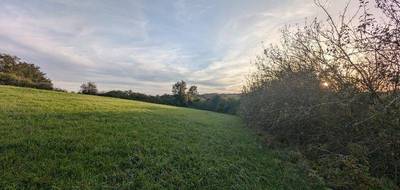 Terrain seul à Saint-Christophe en Allier (03) de 5782 m² à vendre au prix de 43000€ - 2