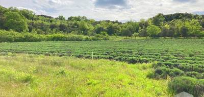 Terrain seul à Larnas en Ardèche (07) de 1800 m² à vendre au prix de 68000€ - 1