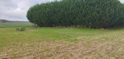 Terrain seul à Provins en Seine-et-Marne (77) de 1240 m² à vendre au prix de 49900€ - 1