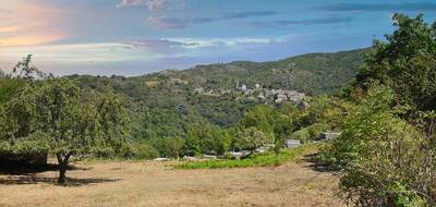 Terrain seul à Sorio en Haute-Corse (2B) de 4184 m² à vendre au prix de 225000€ - 1