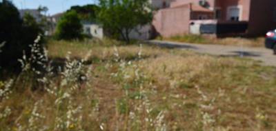 Terrain seul à Frontignan en Hérault (34) de 308 m² à vendre au prix de 205000€ - 3