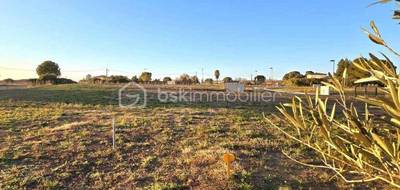 Terrain seul à Canet en Hérault (34) de 459 m² à vendre au prix de 128000€ - 4