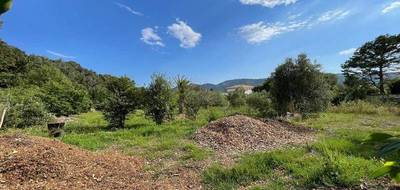 Terrain seul à Pégomas en Alpes-Maritimes (06) de 9720 m² à vendre au prix de 990000€ - 3