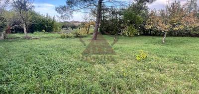 Terrain seul à Saint-Paul-le-Jeune en Ardèche (07) de 1000 m² à vendre au prix de 69000€ - 1