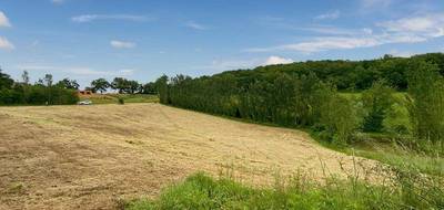 Terrain seul à Lelin-Lapujolle en Gers (32) de 14000 m² à vendre au prix de 35000€ - 4