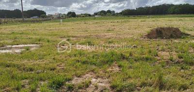 Terrain seul à Mérignac en Charente-Maritime (17) de 6060 m² à vendre au prix de 119000€ - 1