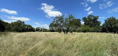 Terrain seul à Coufouleux en Tarn (81) de 2300 m² à vendre au prix de 155000€ - 3