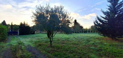 Terrain seul à Carcassonne en Aude (11) de 1300 m² à vendre au prix de 116590€ - 3