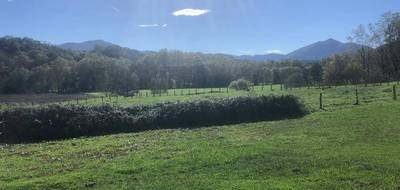 Terrain seul à Sare en Pyrénées-Atlantiques (64) de 800 m² à vendre au prix de 225000€ - 2