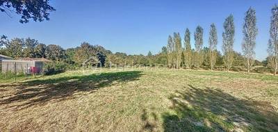 Terrain seul à Artassenx en Landes (40) de 1115 m² à vendre au prix de 72000€ - 1