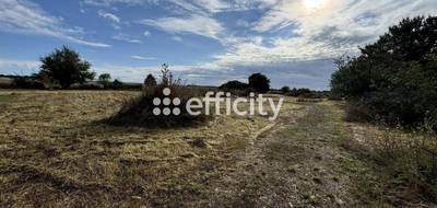 Terrain seul à Barro en Charente (16) de 5300 m² à vendre au prix de 87450€ - 1