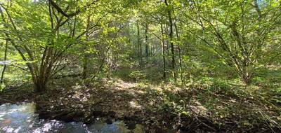 Terrain seul à Clergoux en Corrèze (19) de 12850 m² à vendre au prix de 18990€ - 4