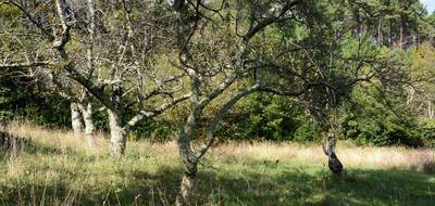 Terrain seul à Aubenas en Ardèche (07) de 4806 m² à vendre au prix de 147000€ - 3