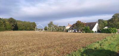 Terrain seul à Girolles en Loiret (45) de 3589 m² à vendre au prix de 97000€ - 3