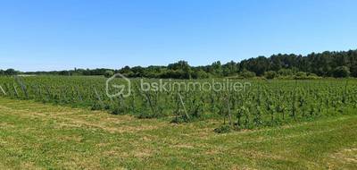 Terrain seul à Mazion en Gironde (33) de 24000 m² à vendre au prix de 213640€ - 2