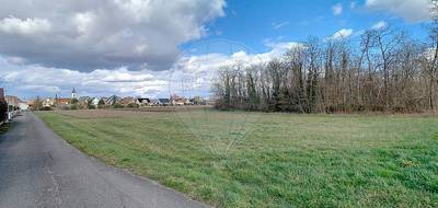 Terrain seul à Algolsheim en Haut-Rhin (68) de 450 m² à vendre au prix de 79453€ - 4