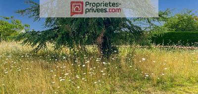 Terrain seul à Beaulieu-sur-Layon en Maine-et-Loire (49) de 0 m² à vendre au prix de 65000€ - 1