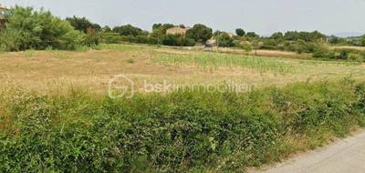 Terrain seul à Saint-Pons-de-Mauchiens en Hérault (34) de 558 m² à vendre au prix de 163900€ - 4