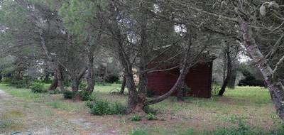 Terrain seul à Badens en Aude (11) de 1585 m² à vendre au prix de 116667€ - 2
