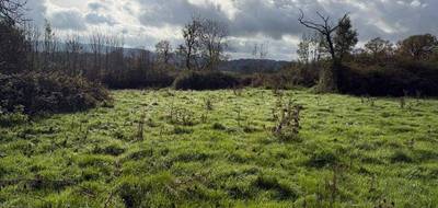 Terrain seul à Dun-le-Palestel en Creuse (23) de 3148 m² à vendre au prix de 23500€ - 4