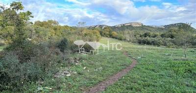 Terrain seul à Fons-sur-Lussan en Gard (30) de 8617 m² à vendre au prix de 197000€ - 1