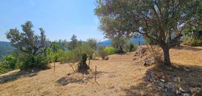 Terrain seul à Claviers en Var (83) de 1594 m² à vendre au prix de 220000€ - 1