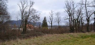 Terrain seul à Saint-Dié-des-Vosges en Vosges (88) de 1861 m² à vendre au prix de 54900€ - 4