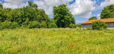 Terrain seul à Oye-Plage en Pas-de-Calais (62) de 555 m² à vendre au prix de 79000€ - 1