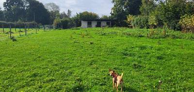 Terrain seul à Fiefs en Pas-de-Calais (62) de 0 m² à vendre au prix de 40000€ - 2