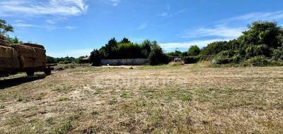 Terrain seul à Châtelaillon-Plage en Charente-Maritime (17) de 1495 m² à vendre au prix de 295540€ - 2